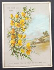 Victorian fold gorse for sale  LLANELLI