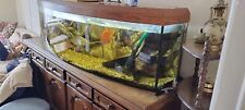 Aquarium fish tank for sale  Ireland