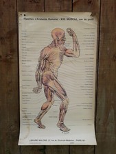 Ancienne affiche planches d'occasion  Ploërmel