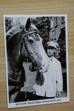 Pferd postkarte horse gebraucht kaufen  Berlin
