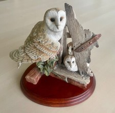 border fine arts owl for sale border fine arts owl for sale UK