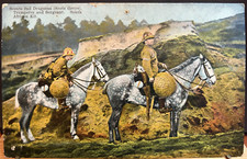 1905 vintage postcard for sale  NEWTON ABBOT