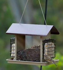 Birds large seed for sale  Millville