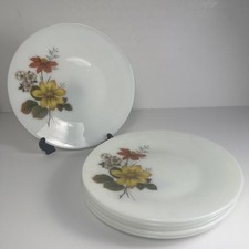 Jaj pyrex autumn for sale  WIMBORNE