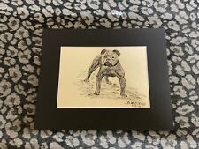 Arte de esboço original por B W STANLEY, BULLDOG OU STAFFORDSHIRE BULL TERRIER 1913 comprar usado  Enviando para Brazil