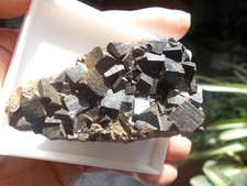 Minerali pirite limonitizzata usato  Buggiano
