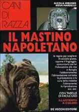Cani razza mastino usato  Italia