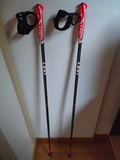 Bastoncini nordic walking usato  Silea