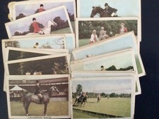 Anglo confectionery horse for sale  STOCKPORT