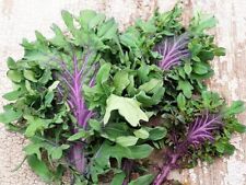 Ursa kale seeds for sale  Marietta