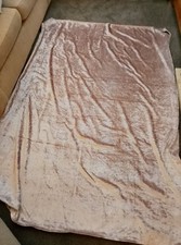 Blush pink rose for sale  NORTHAMPTON