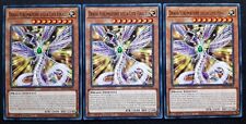 Set drago sublimazione usato  Venezia