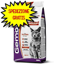 Gemon gatto adulto usato  San Felice Circeo