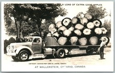 Wallenstein ontario canada for sale  New Hope