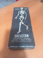 Modello anatomico usato  Lucera