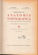 Trattato anatomia topografica usato  Italia