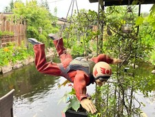 Fallschirmspringer jun asilo gebraucht kaufen  Neuruppin-Umland