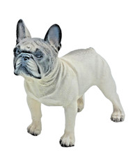 Jjm french bulldog for sale  Ruther Glen