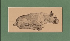 Cecil aldin boxer d'occasion  Expédié en Belgium