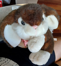 dan dee rabbit for sale  Elk Horn