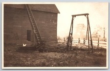 White hen chicken for sale  Newton