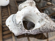 Large relisic rock for sale  LEEK
