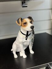 White jack russell for sale  MANCHESTER