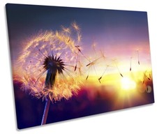 Dandelion clock floral for sale  UK