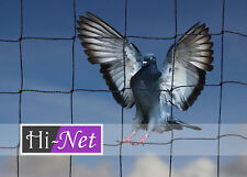 Garden netting 50mm for sale  HELSTON