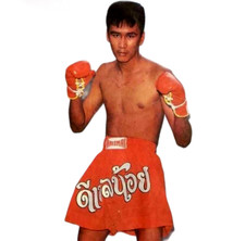 Shorts de kickboxing Muaythai Muay Thai MMA UFC design bordado de náilon kick boxing comprar usado  Enviando para Brazil
