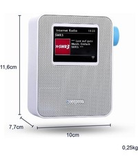 Blaupunkt pib 100 gebraucht kaufen  Karlsbad