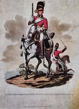 Royal scots greys for sale  DUNDEE