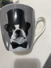 Boston terrier dog for sale  HARLOW
