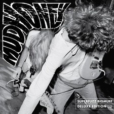 Mudhoney superfuzz bigmuff gebraucht kaufen  Berlin
