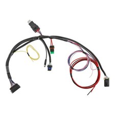 Chicote de fios principal Holley Sniper EFI 558-191 Sniper 2 EFI comprar usado  Enviando para Brazil