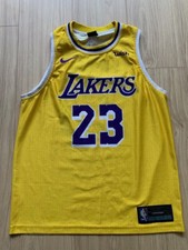 Lebron james basketball gebraucht kaufen  Krefeld