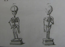 Diderot kupferstich anatomie gebraucht kaufen  Berlin