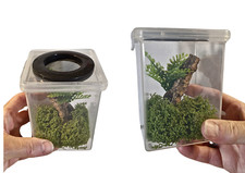 Two insect rearing for sale  LOWESTOFT
