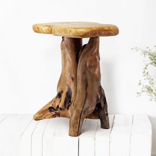 Natural tree stump for sale  Seattle