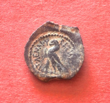Império Ptolomaico 163 a.C. *Zeus/Águia* Bronze AE Calcus 2,1g-17mm RARO comprar usado  Enviando para Brazil