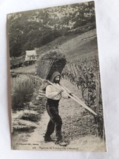 Cpa talloires. vigneron. d'occasion  Agneaux