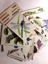 Album panini animali usato  Soliera