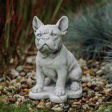 Chien français bouledogue d'occasion  Expédié en France