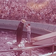 Lot ektachrome slides for sale  Bremerton