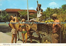 D021913 refreshing coconut for sale  WARLINGHAM