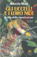 Masi alberto gli usato  Italia