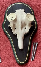 Damhirsch kunstschädel alu gebraucht kaufen  Engstingen