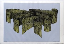 Serigrafia vanni viviani usato  Brescia