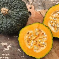 Marina chioggia winter for sale  Deltona
