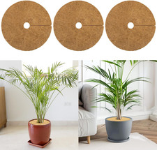 Coconut fibers plant for sale  Denver